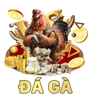 Hỗ trợ qua Email qh8 win