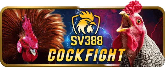Giao diện thân thiện và ứng dụng di động qh8 win