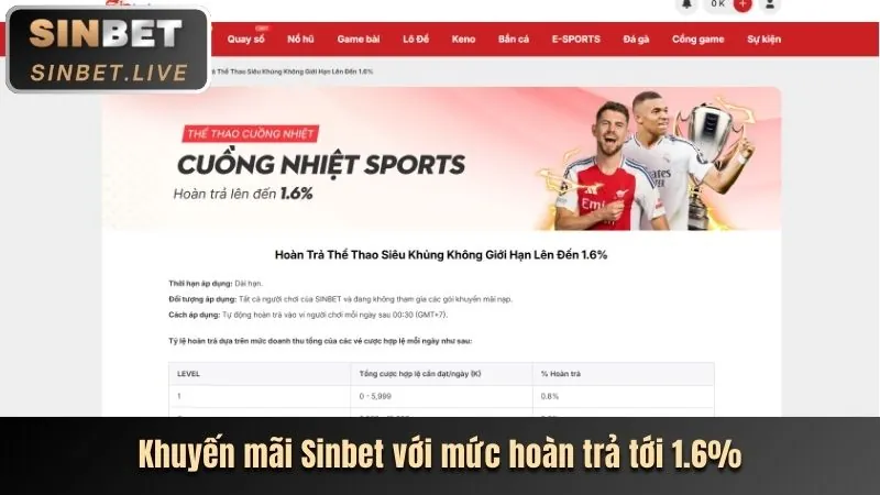 Các loại hình cá cược thể thao tại qh8 win